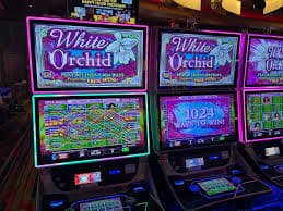 gamingbet99 featured game showcase